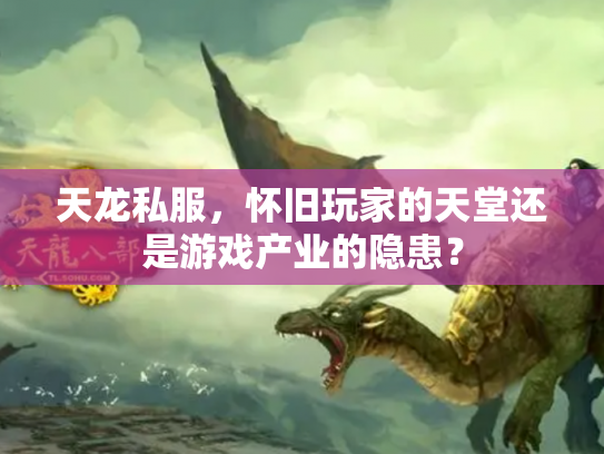 天龙私服，怀旧玩家的天堂还是游戏产业的隐患？