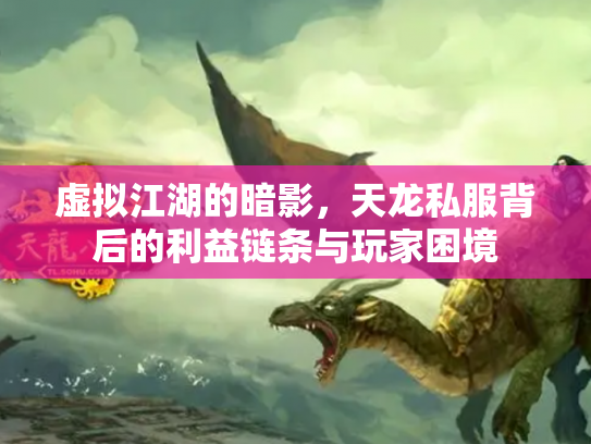 虚拟江湖的暗影，天龙私服背后的利益链条与玩家困境