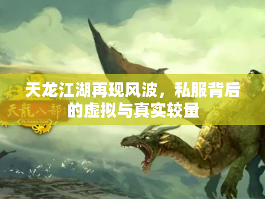 天龙江湖再现风波，私服背后的虚拟与真实较量