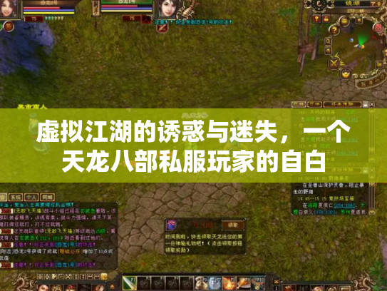 虚拟江湖的诱惑与迷失，一个天龙八部私服玩家的自白