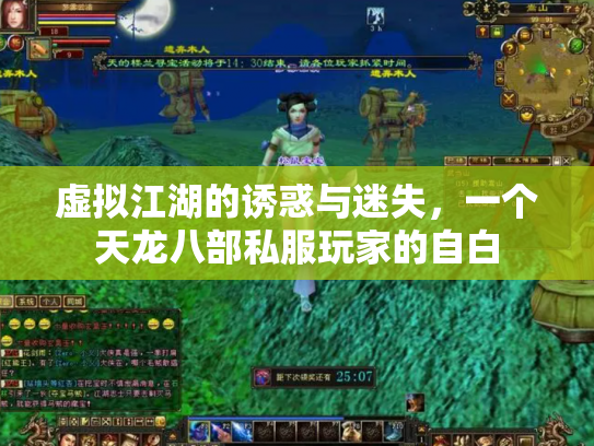 虚拟江湖的诱惑与迷失，一个天龙八部私服玩家的自白