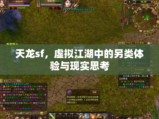 天龙sf，虚拟江湖中的另类体验与现实思考