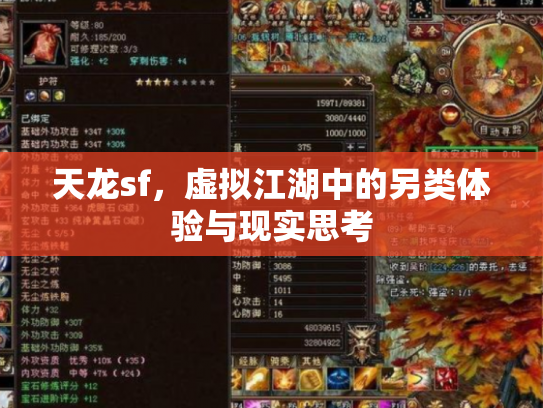 天龙sf，虚拟江湖中的另类体验与现实思考