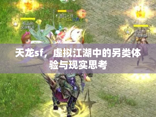 天龙sf，虚拟江湖中的另类体验与现实思考