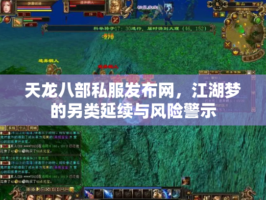 天龙八部私服发布网，江湖梦的另类延续与风险警示