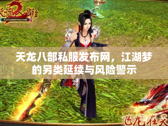 天龙八部私服发布网，江湖梦的另类延续与风险警示