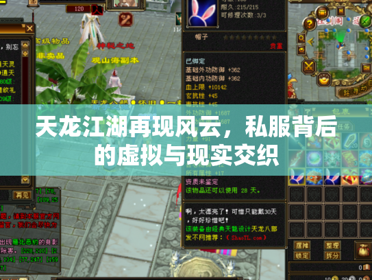天龙江湖再现风云，私服背后的虚拟与现实交织