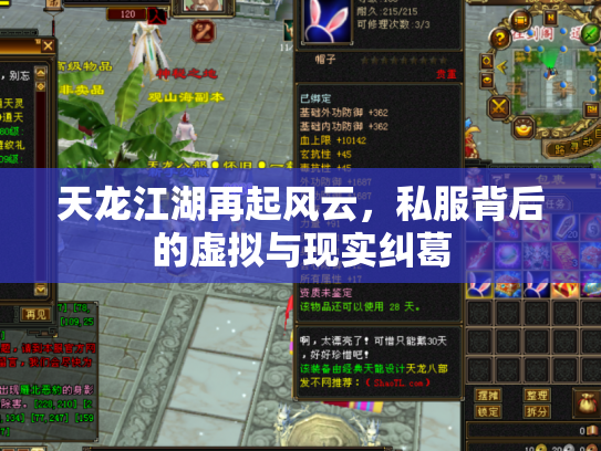 天龙江湖再起风云，私服背后的虚拟与现实纠葛