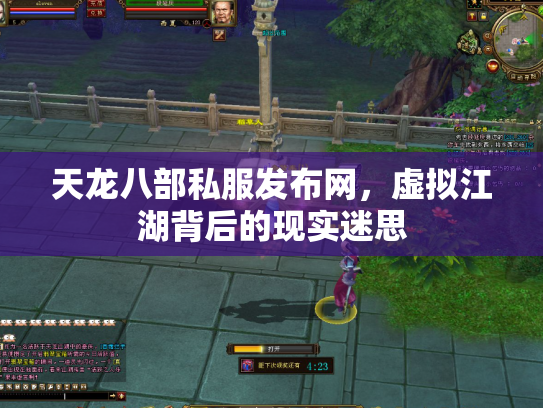 天龙八部私服发布网，虚拟江湖背后的现实迷思