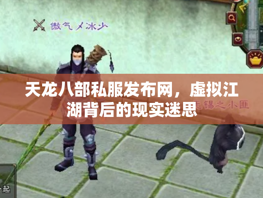 天龙八部私服发布网，虚拟江湖背后的现实迷思