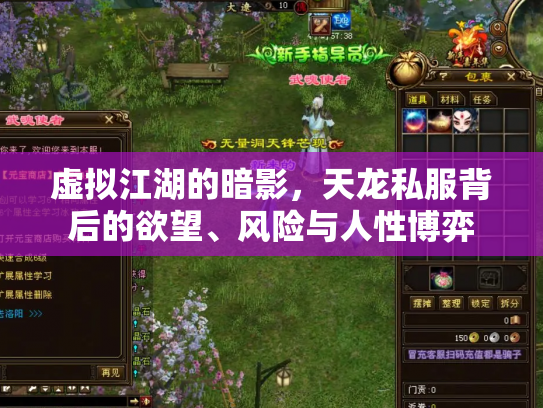 虚拟江湖的暗影，天龙私服背后的欲望、风险与人性博弈