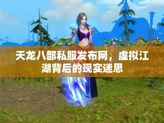 天龙八部私服发布网，虚拟江湖背后的现实迷思