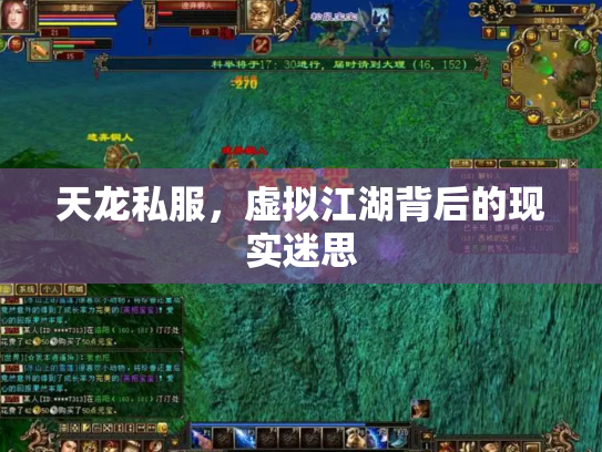 天龙私服，虚拟江湖背后的现实迷思