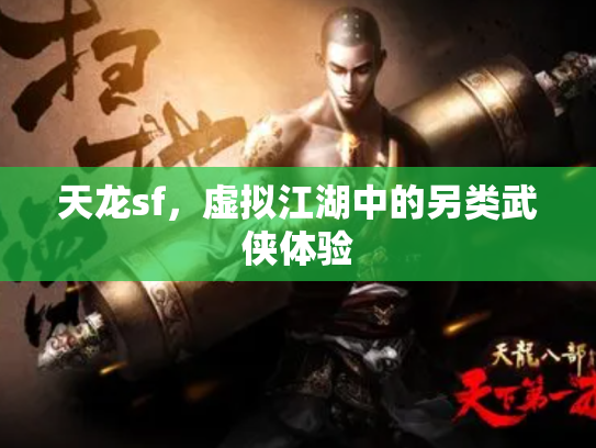 天龙sf，虚拟江湖中的另类武侠体验