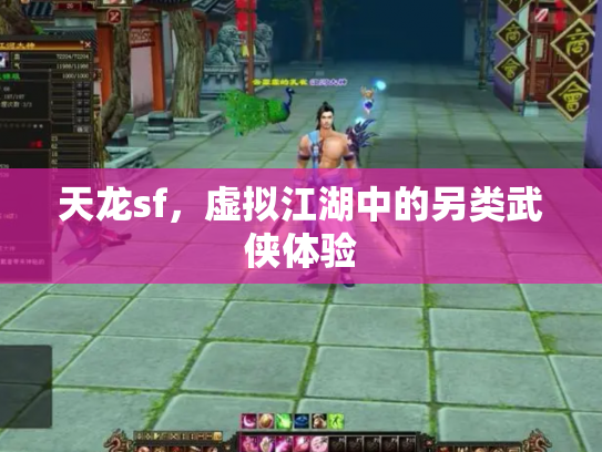 天龙sf，虚拟江湖中的另类武侠体验