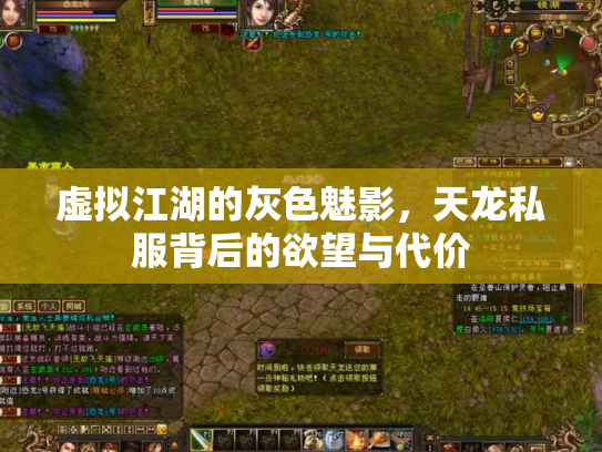 虚拟江湖的灰色魅影，天龙私服背后的欲望与代价