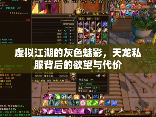 虚拟江湖的灰色魅影，天龙私服背后的欲望与代价
