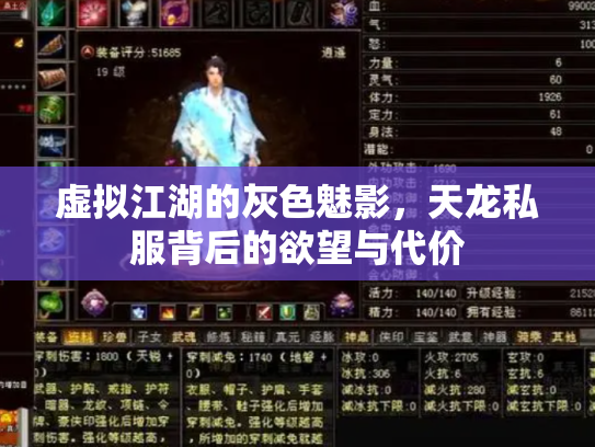 虚拟江湖的灰色魅影，天龙私服背后的欲望与代价