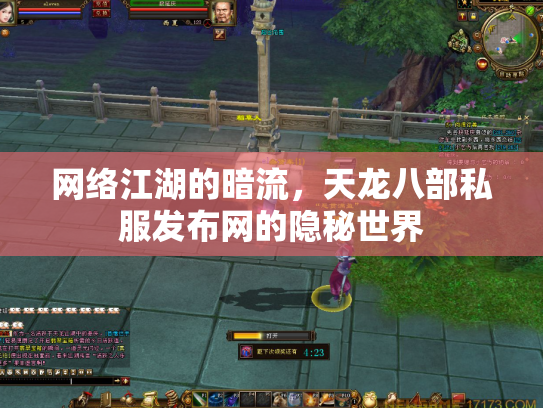 网络江湖的暗流，天龙八部私服发布网的隐秘世界