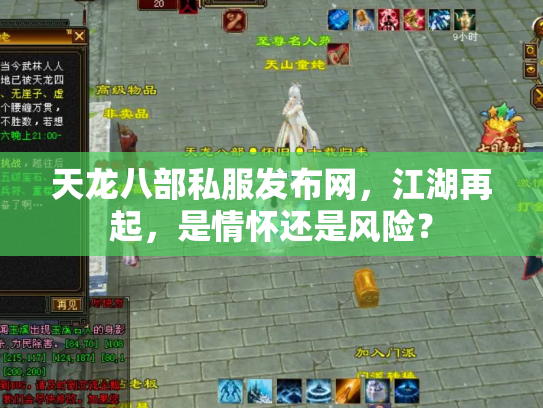 天龙八部私服发布网，江湖再起，是情怀还是风险？