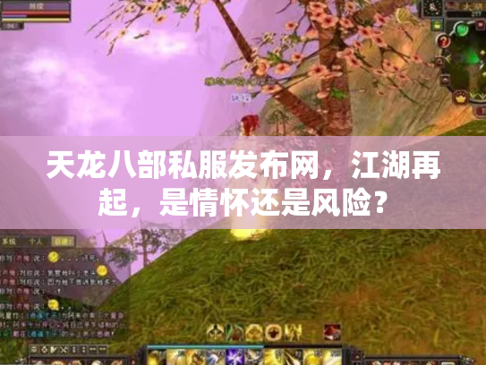 天龙八部私服发布网，江湖再起，是情怀还是风险？