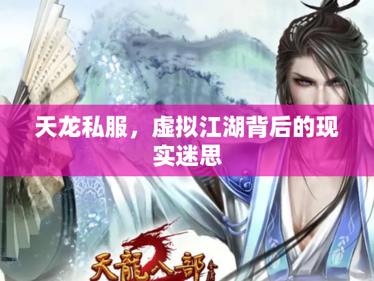 天龙私服，虚拟江湖背后的现实迷思