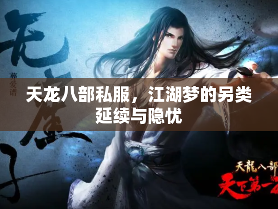 天龙八部私服，江湖梦的另类延续与隐忧