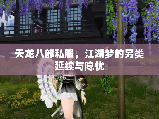 天龙八部私服，江湖梦的另类延续与隐忧