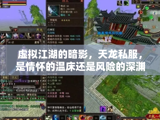 虚拟江湖的暗影，天龙私服，是情怀的温床还是风险的深渊？