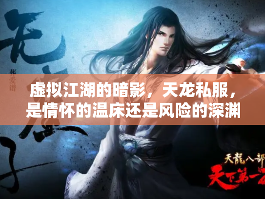 虚拟江湖的暗影，天龙私服，是情怀的温床还是风险的深渊？