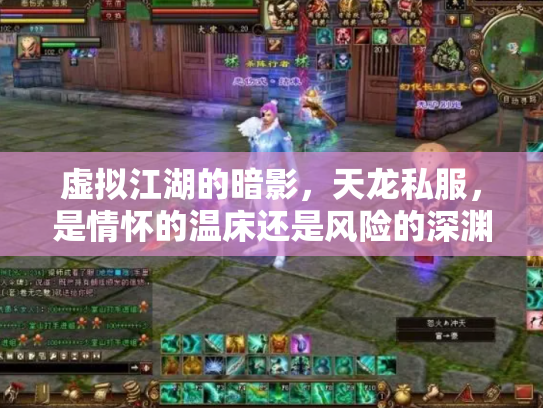 虚拟江湖的暗影，天龙私服，是情怀的温床还是风险的深渊？