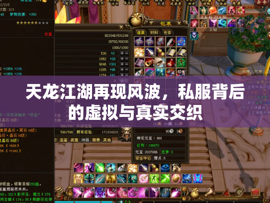 天龙江湖再现风波，私服背后的虚拟与真实交织