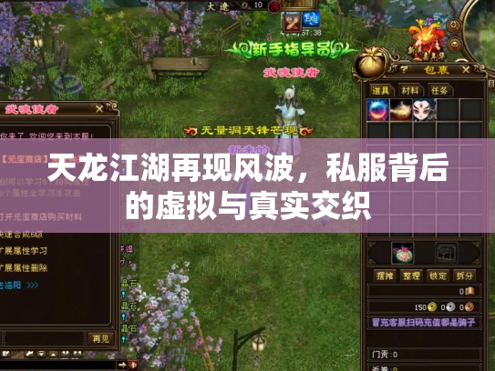 天龙江湖再现风波，私服背后的虚拟与真实交织