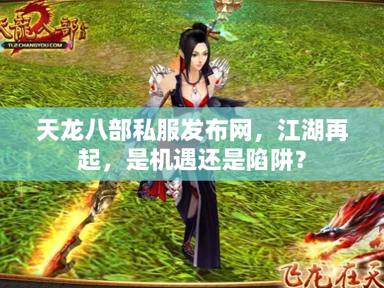 天龙八部私服发布网，江湖再起，是机遇还是陷阱？