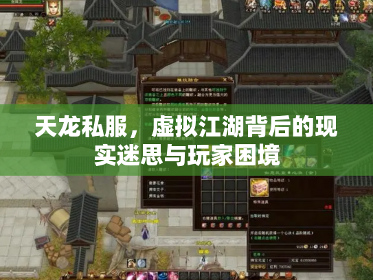 天龙私服，虚拟江湖背后的现实迷思与玩家困境