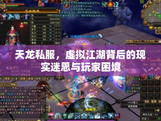 天龙私服，虚拟江湖背后的现实迷思与玩家困境