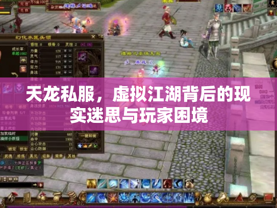 天龙私服，虚拟江湖背后的现实迷思与玩家困境
