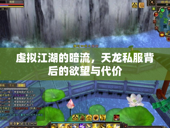 虚拟江湖的暗流，天龙私服背后的欲望与代价