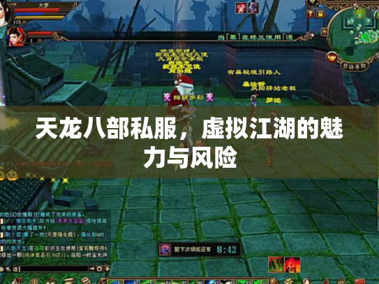天龙八部私服，虚拟江湖的魅力与风险