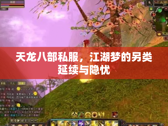 天龙八部私服，江湖梦的另类延续与隐忧