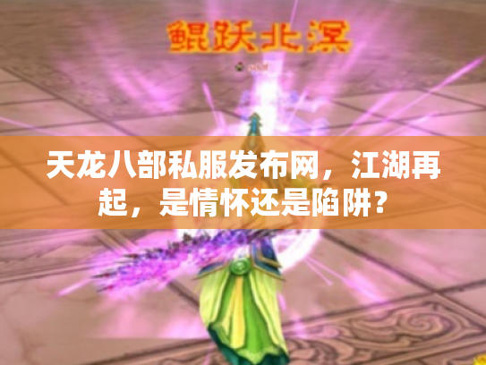 天龙八部私服发布网，江湖再起，是情怀还是陷阱？