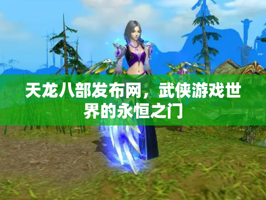 天龙八部发布网，武侠游戏世界的永恒之门