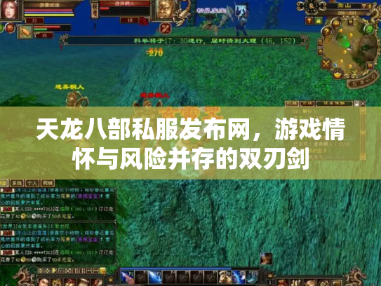 天龙八部私服发布网，游戏情怀与风险并存的双刃剑