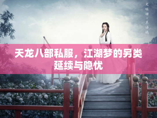 天龙八部私服，江湖梦的另类延续与隐忧