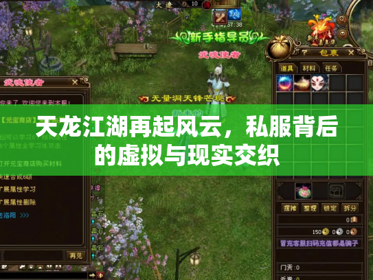 天龙江湖再起风云，私服背后的虚拟与现实交织