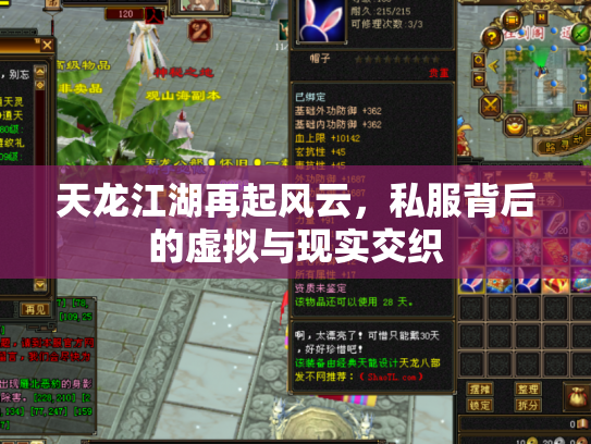 天龙江湖再起风云，私服背后的虚拟与现实交织