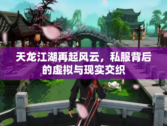天龙江湖再起风云，私服背后的虚拟与现实交织