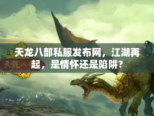 天龙八部私服发布网，江湖再起，是情怀还是陷阱？