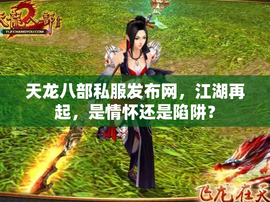 天龙八部私服发布网，江湖再起，是情怀还是陷阱？
