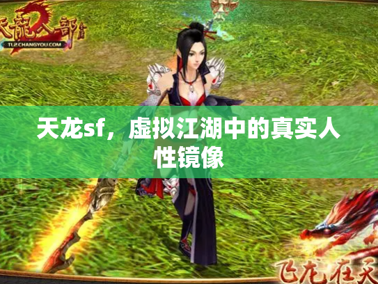天龙sf，虚拟江湖中的真实人性镜像